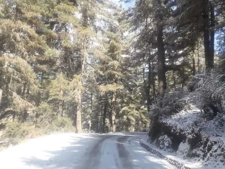Odiyana Hotel Gangtey Gonpa Eksteriør bilde